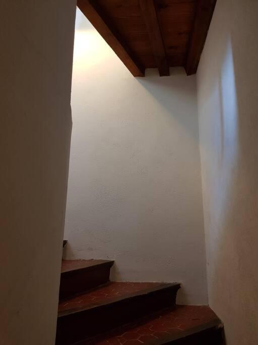 Appartement Pres Des Plages Du Mourillon Toulon Luaran gambar